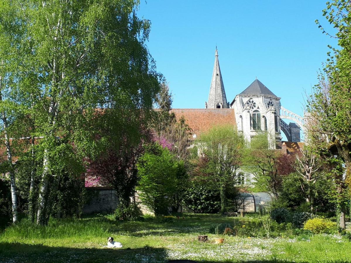 Saint-Eusebe Mansion - Hotel Particulier St-Eusebe Auxerre Kültér fotó